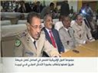 قمة أفريقية تدعو للتدخل العسكري في ليبيا