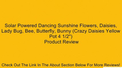 Solar Powered Dancing Sunshine Flowers, Daisies, Lady Bug, Bee, Butterfly, Bunny (Crazy Daisies Yellow Pot 4 1/2") Review