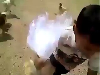 hens teasing a kid amazing v funny watch n share