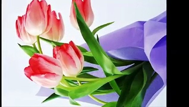 * * * AŞK ESKİ BİR YALAN * * *