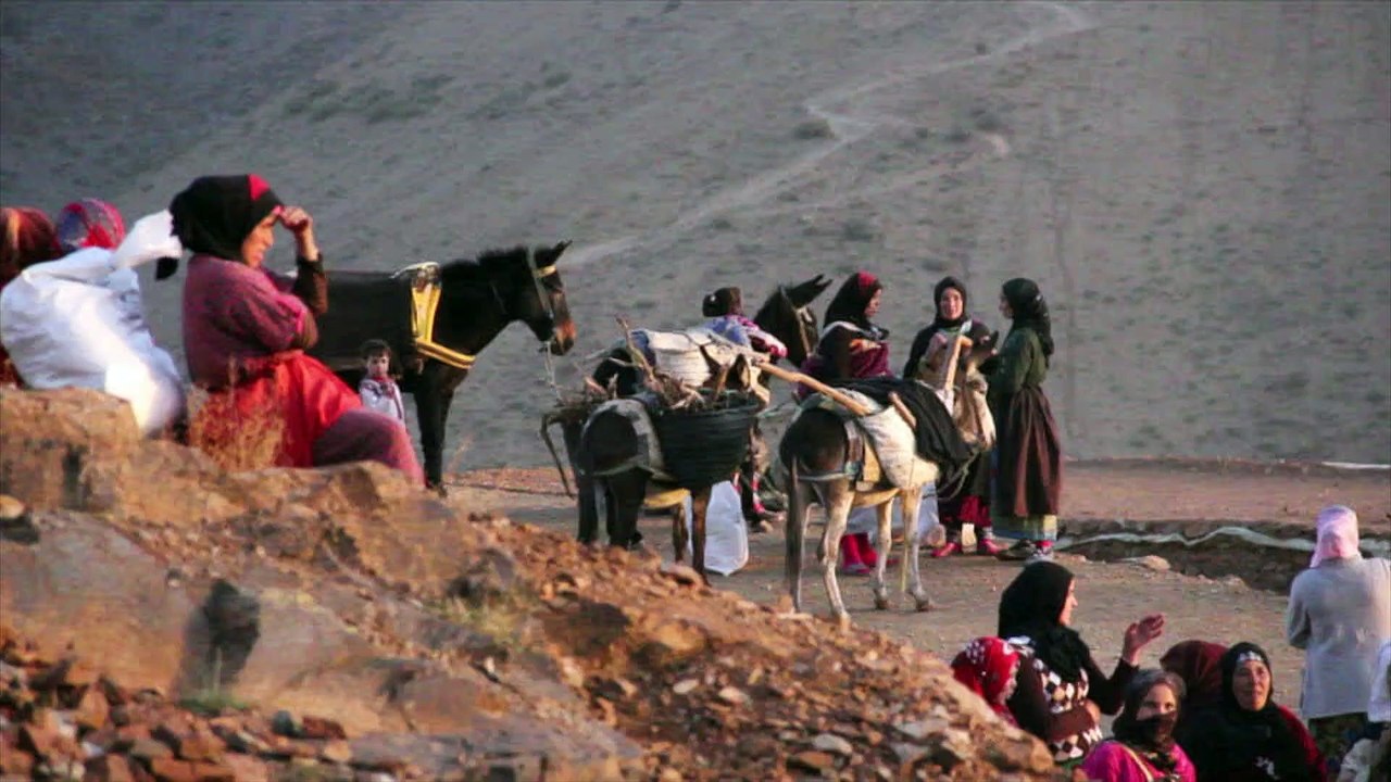 le plus beau metier du monde