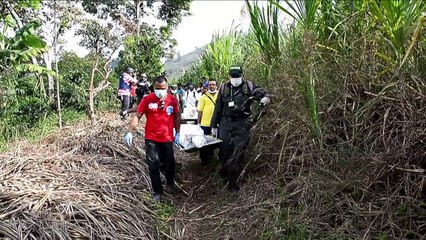 Colombie: 5 militaires tués par les Farc à la veille d'une trêve