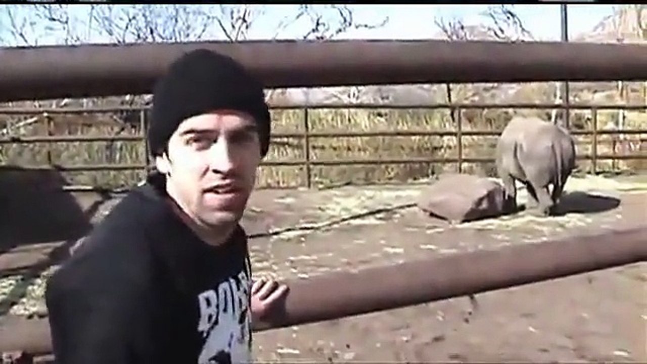 Guy Rides Rhino
