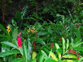 Fandango    -    Vandyck Julien     plays    The Shadows