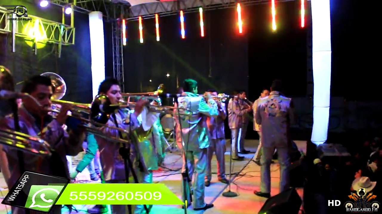 Banda Tromba Sinaloense " EL SINALOENSE " ( En Vivo San Luis Tlaxialtemalco 2014 )