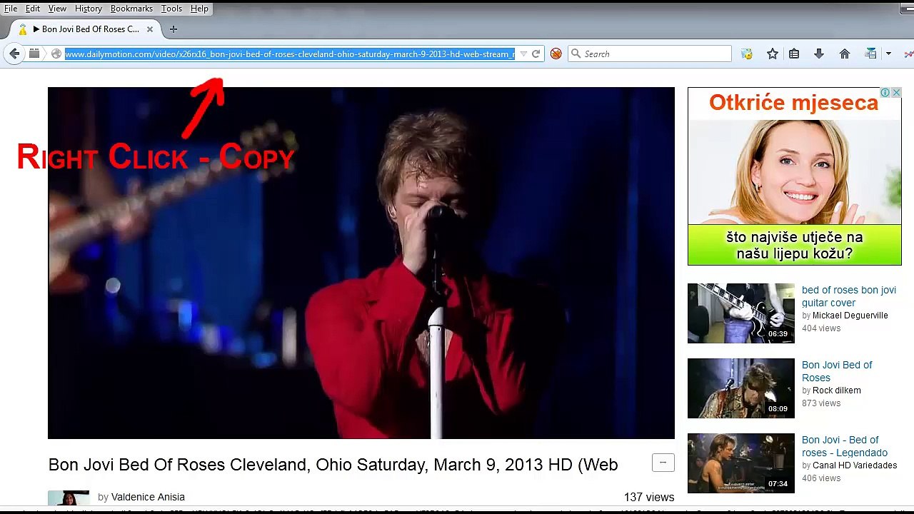 How To Download Dailymotion Videos Using Free Dailymotion Video Downloader