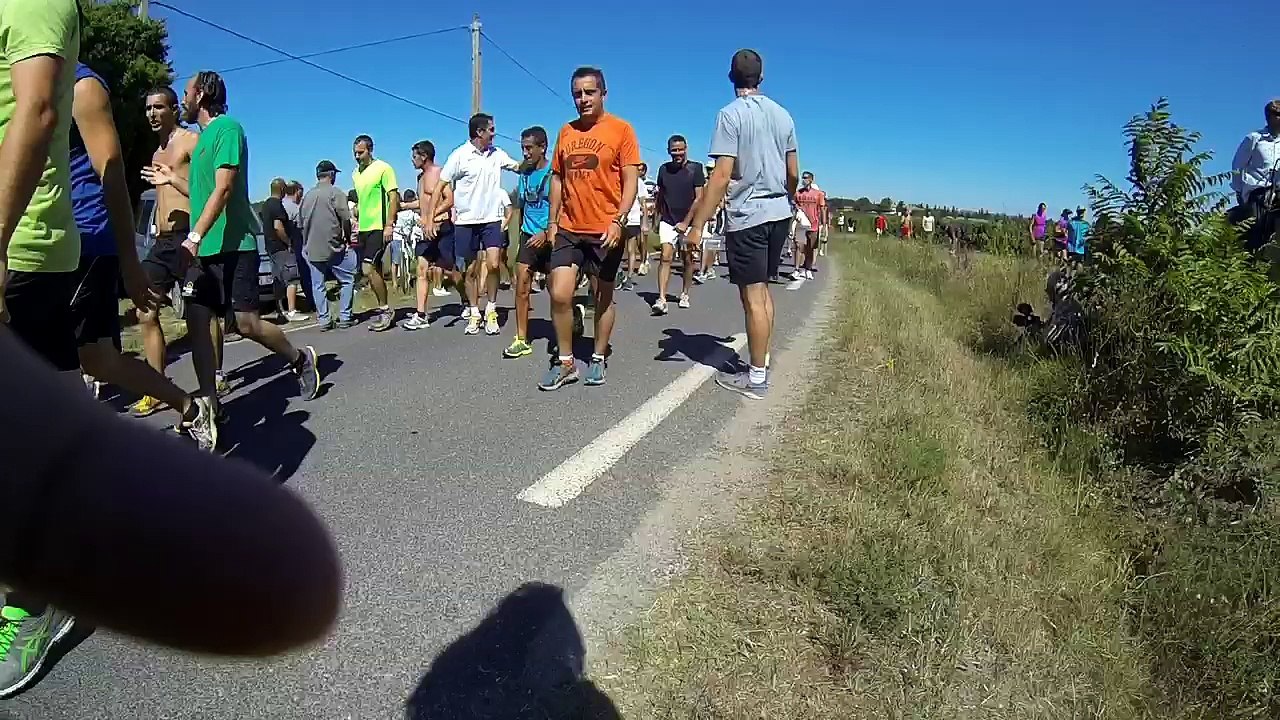 Eralu fake de Vauvert 2014