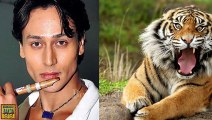 Tiger Shroff Buys a Tiger - By Bollywood Flashy