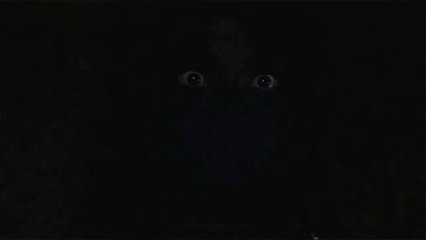 it`s always watching- by LupusCreepus