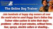 Dog Obedience Training Training - The Online Dog Trainer