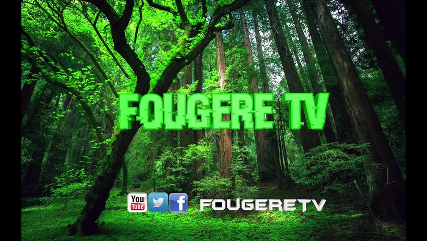 Fougere TV