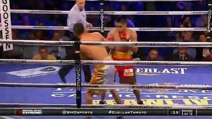 20.12.2014 - Jesus Cuellar vs Ruben Tamayo