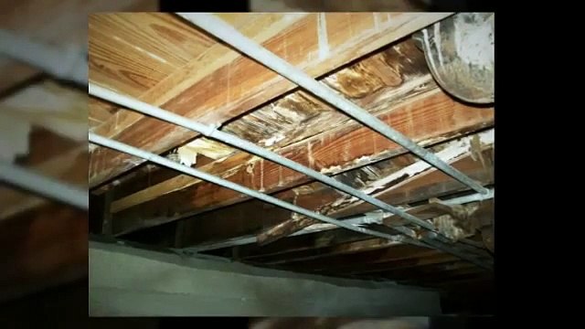 Michigan Home Inspectors Shows Home Inspection Horrors