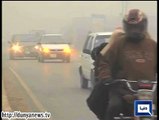 Dunya News - Dense fog keeps the weather chilly