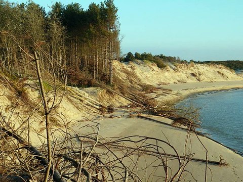 BAIE D'AUTHIE NORD Erosion par la houle en baie d'Authie au lieu dit 'le bois de sapins' déc 2012