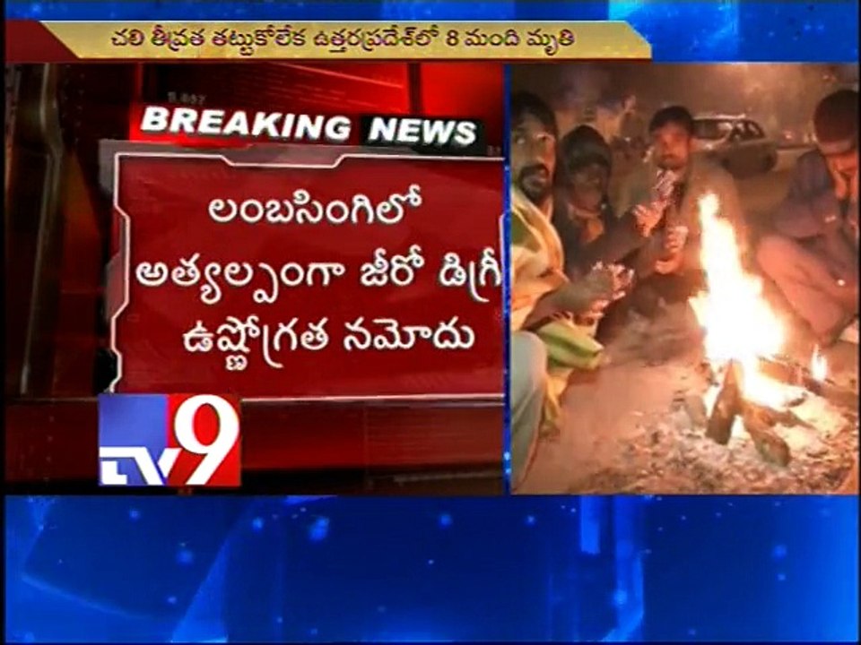 Cold wave continues in north, 8 killed in UP