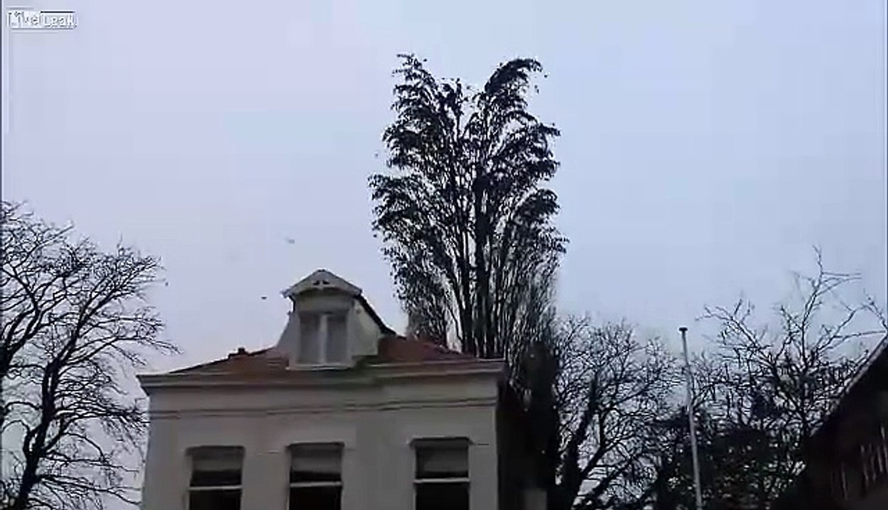 The Amazing Video HD