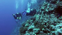 Awesome Maui Hawaii Molokini South Side Wall Scuba Diving 2