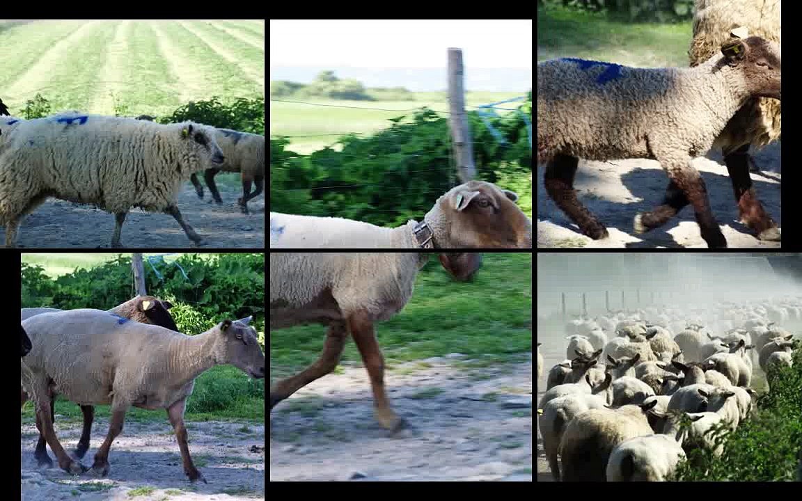 AOC_AOP_pres_sales_mont_saint_michel