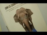 Napoli - Presentato il libro ''Con le zampe di elefante'' di Silvio Fabris (20.12.14)