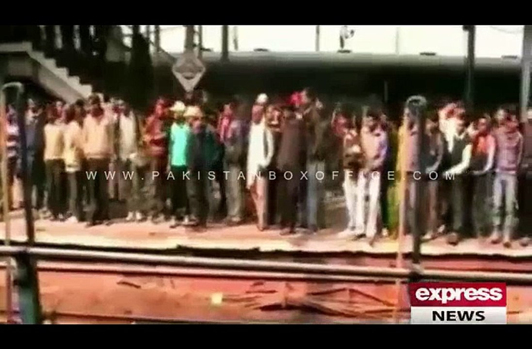 Monkey Rescue Operation to Save Monkey in India