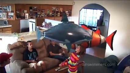 Köpek Balıkları Evinizin Tavanını Saracak