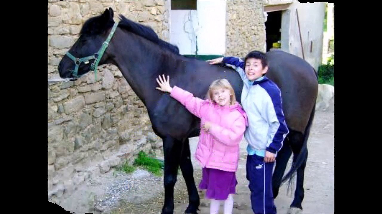 mes amours  decembre 2014