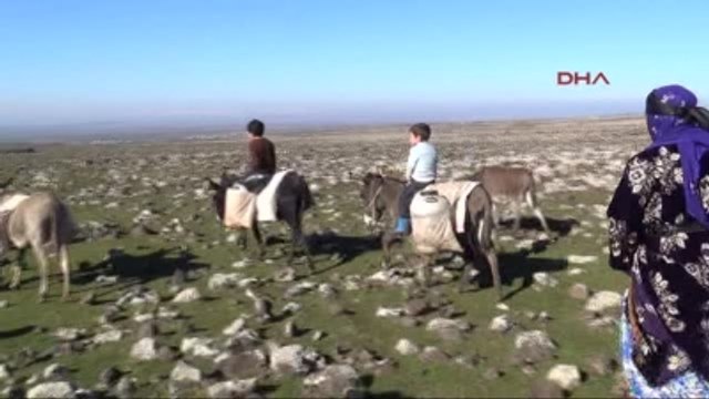 Ş.urfa - Eşek Sırtında İçme Suyu Taşıyorlar