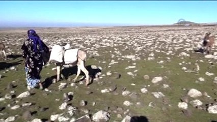 Su İhtiyaçlarını Eşekle Taşıyarak Gideriyorlar