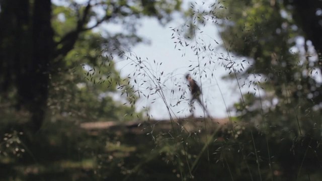 Field Notes - Noel 2014