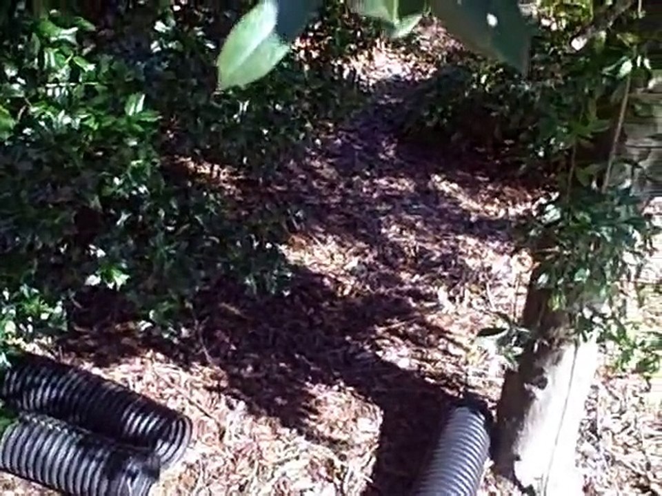 Home Inspectors Nashville TN Shows Extended Downspout