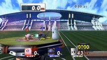 Super Smash Bros. Brawl - Home Run Smash