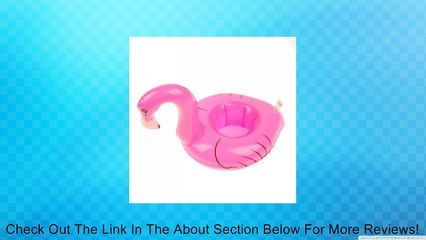 Inflatable Pool Tropical Flamingo Floating Coasters Pink Review