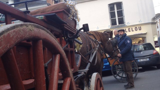 Une balade en calèche