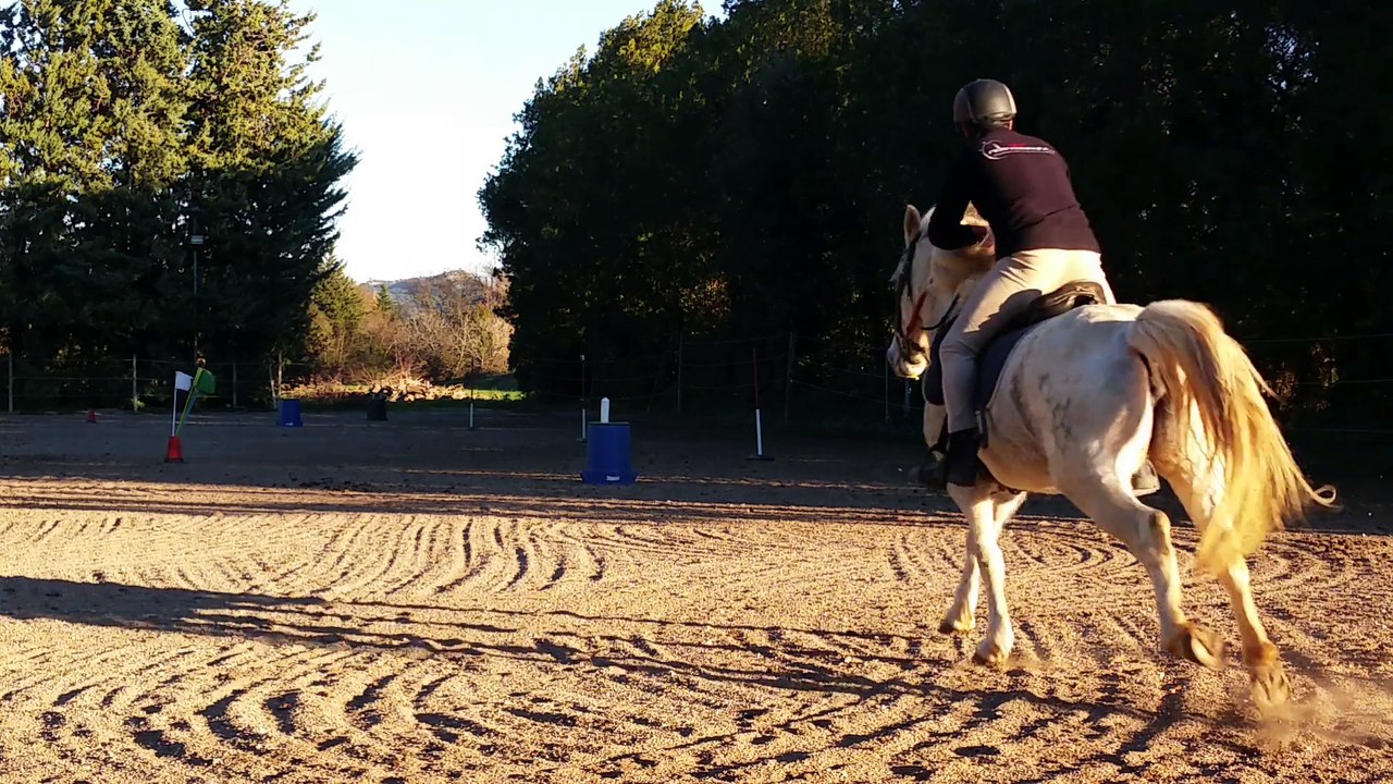 Miss  Le 21 /12 /2014 à La Maison