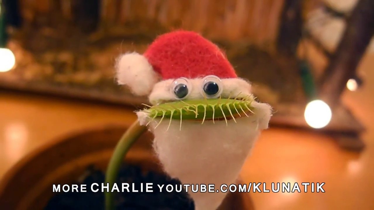MERRY CHRISTMAS from a venus flytrap