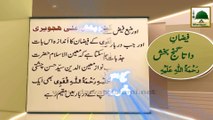 Madani Guldasta - Safar ul Muzaffar - Faizan-e-Data Ganj Bakhsh