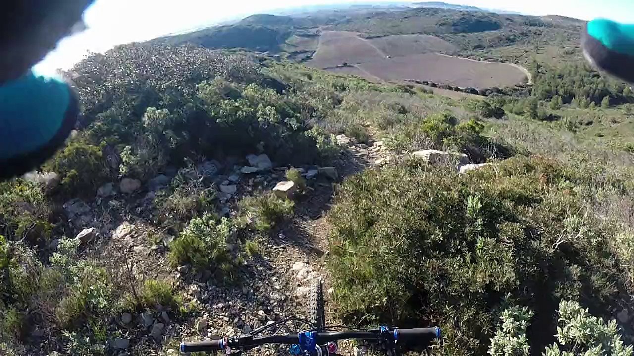 dh des ruches 1