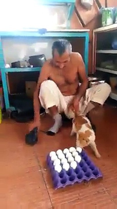 cat caught in terrible problem