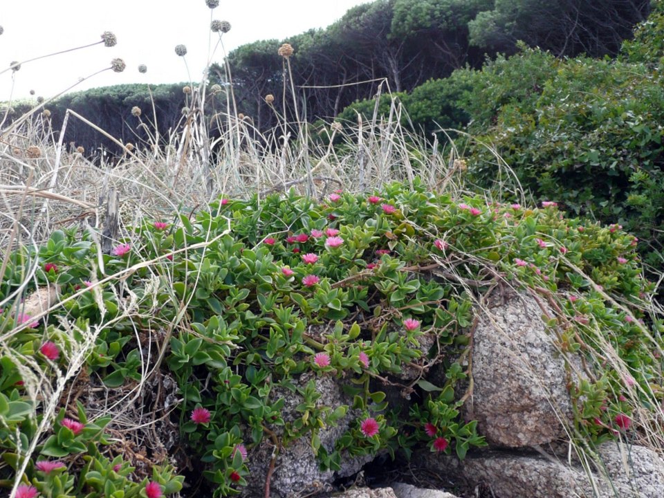 septembre 12, 2013