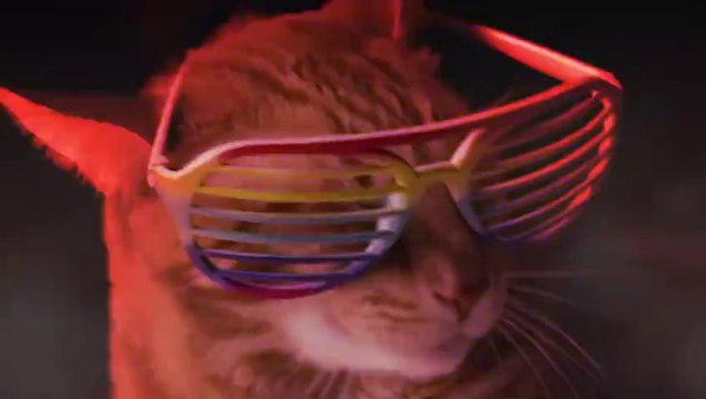 Meow Mix Song | EDM Cat Remix by Ashworth