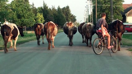 Unusual way to create traffic jam