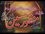 Uras BaBa Syed Manzoor Hussain Shah (2014 part 1 Qawal Nadeem Akhtar) (4)