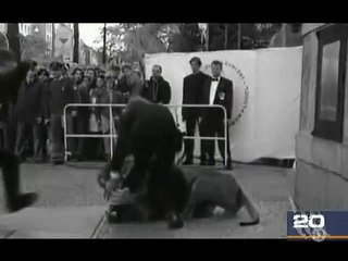 Animaux Dangereux ! Attack