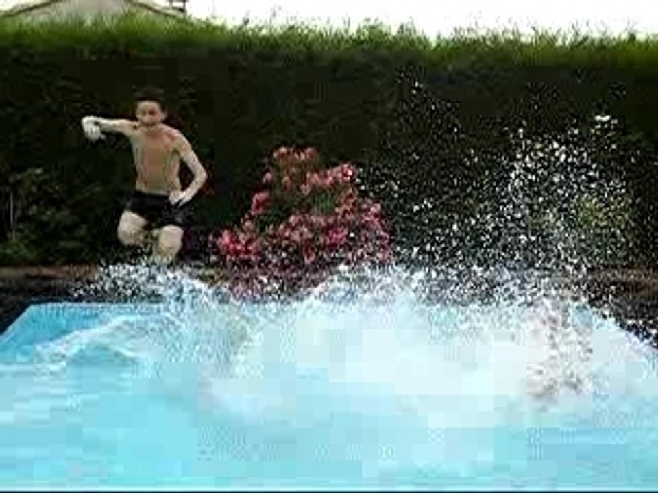 Plongeon