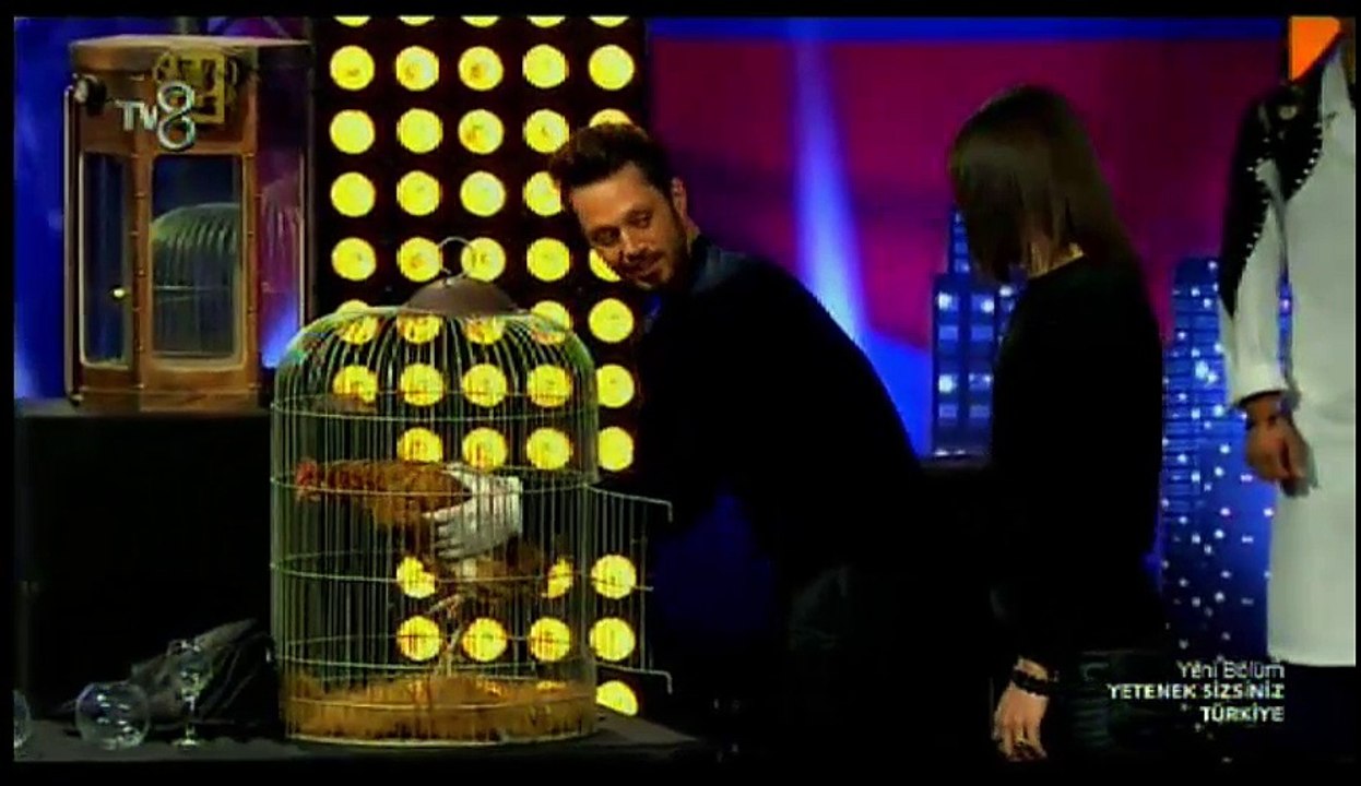 Yetenek Sizsiniz Aref Ghafouri Gösterisi