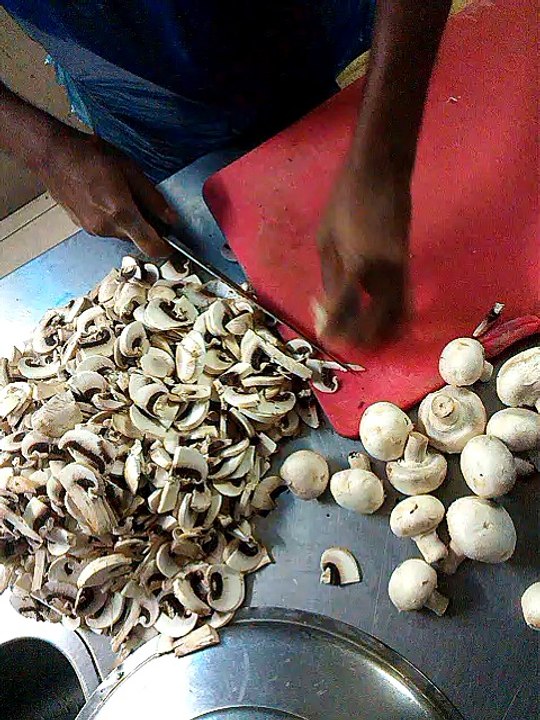Mushroom