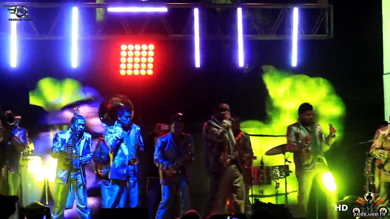 Banda Tromba Sinaloense " LA CHINA & DAMASO " ( En Vivo San Luis Tlaxialtemalco 2014 )