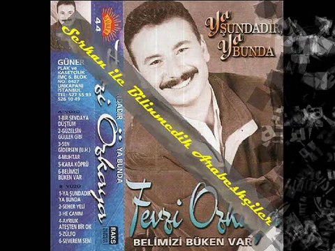 Fevzi Özkaya - Bir Sevdaya Düştüm