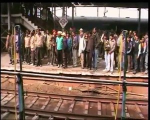 Un singe réanime un singe électrocuté par les rails d'un train en Inde